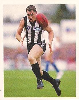 1993 Select AFL Stickers #67 Alan Richardson Front